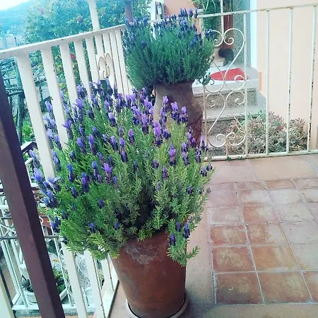 I Tredici Casali Tramonti