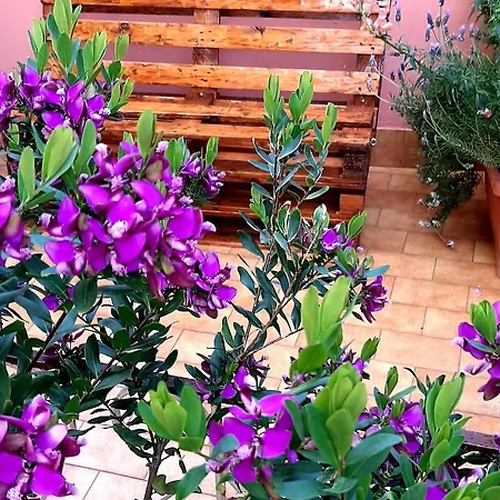 Holiday home I Tredici Casali
