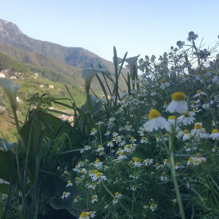 I Tredici Casali Holiday home *